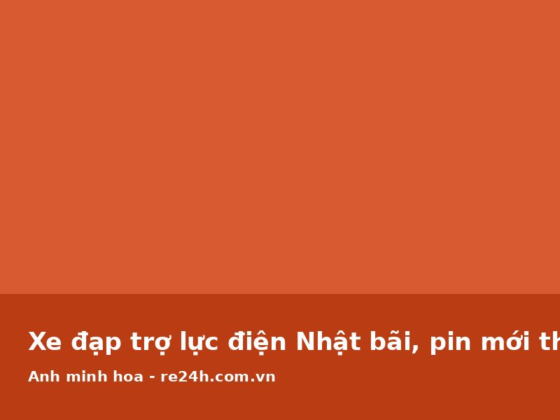Xe đạp trợ lực điện Nhật bãi, pin mới thay
